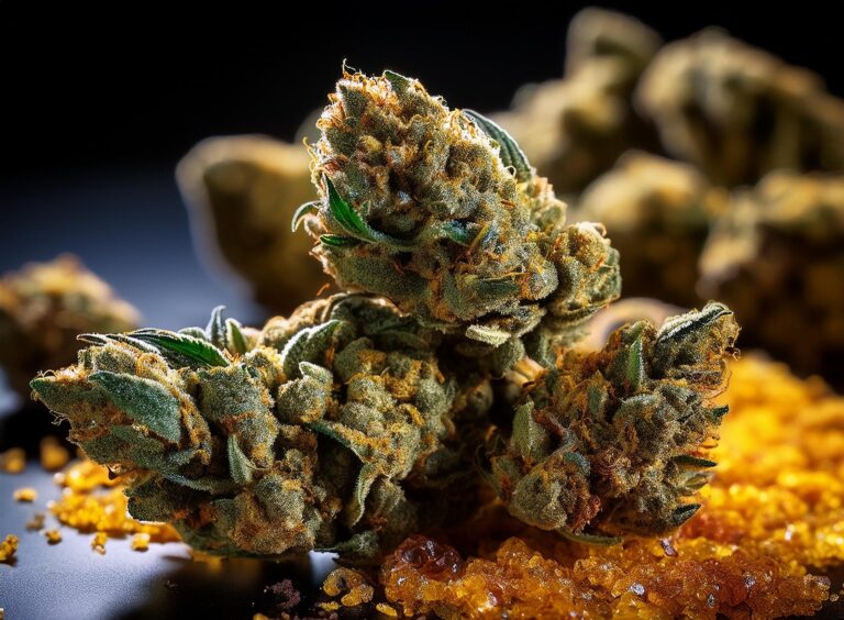 THCA was ist THCA