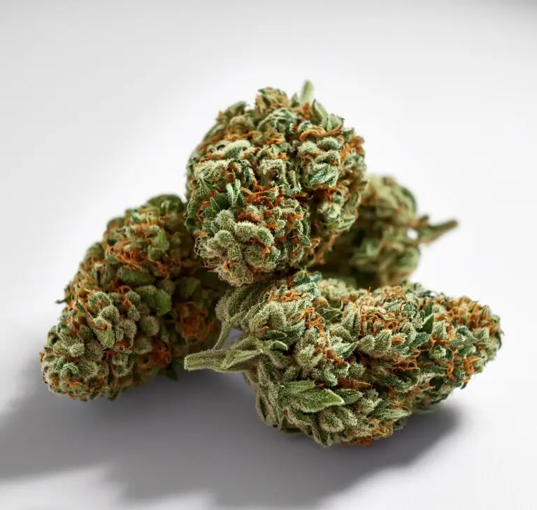 Sativa buds