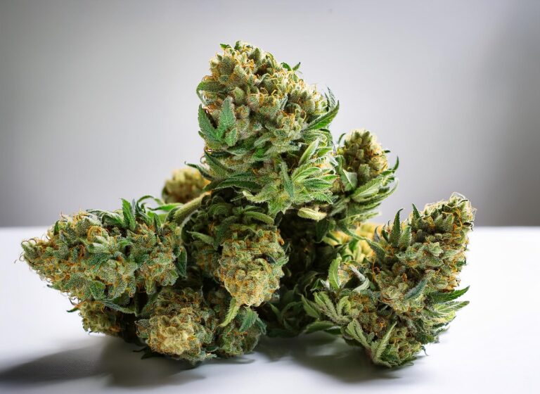 THC kaufen und hasch